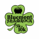 Live music at Bluemont Shamrock 5k/10k, Virginia